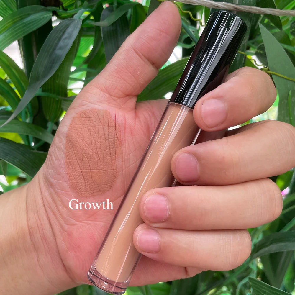 Wholesale Low Moq Matte Liquid Lipstick Vegan Private Label Waterproof Long Lasting Lip Stick Custom Liquid Lipstick