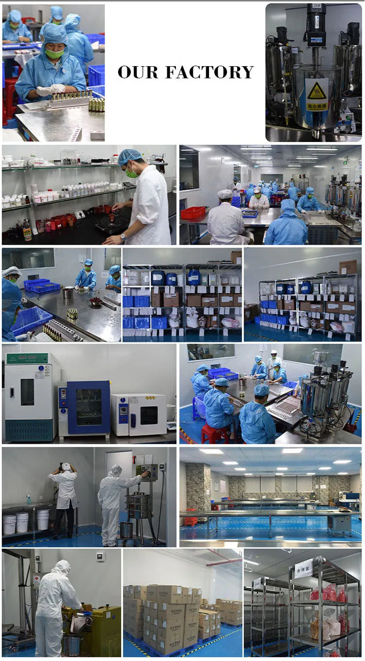 Long Lasting Lip Gloss Mini Lipstick Set Matte Lipstick Makeup Set Velvet 5 in 1 Odm Oem